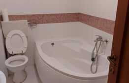 Apartament 2 camere, 55 mp, balcon, zona Nufarul