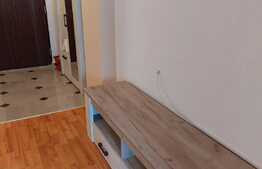 Apartament 2 camere, 55 mp, balcon, zona Nufarul