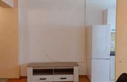 Apartament 2 camere, 55 mp, balcon, zona Nufarul