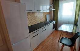 Apartament 2 camere, 55 mp, balcon, zona Nufarul