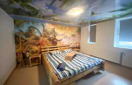 Apartament de 4 camere/ Minipensiune in zona Garii! 