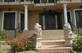 Casă de lux cu panoramă deasupra orașului