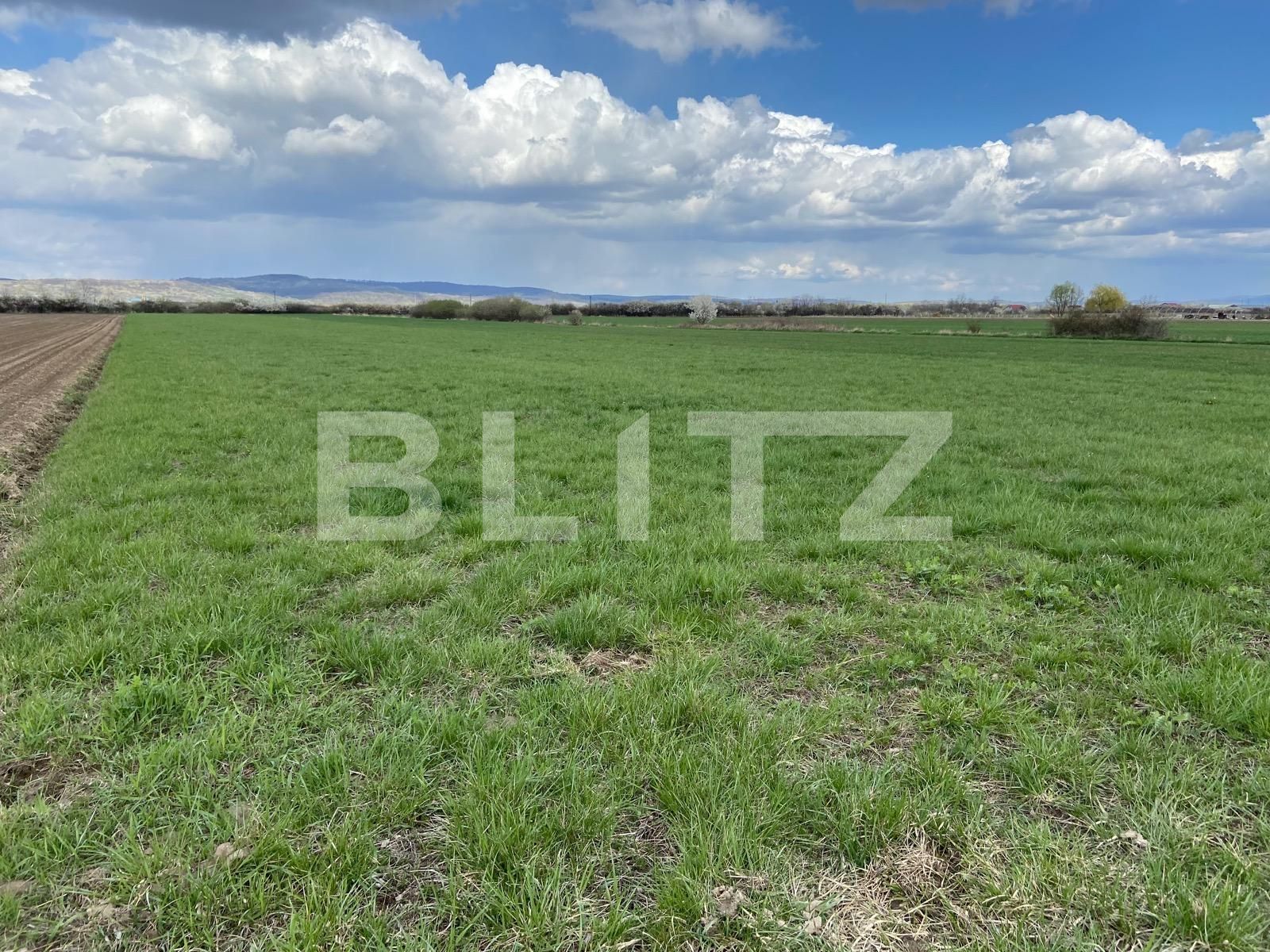 Teren de vânzare Osorhei - 84637TV | BLITZ Oradea | Poza4