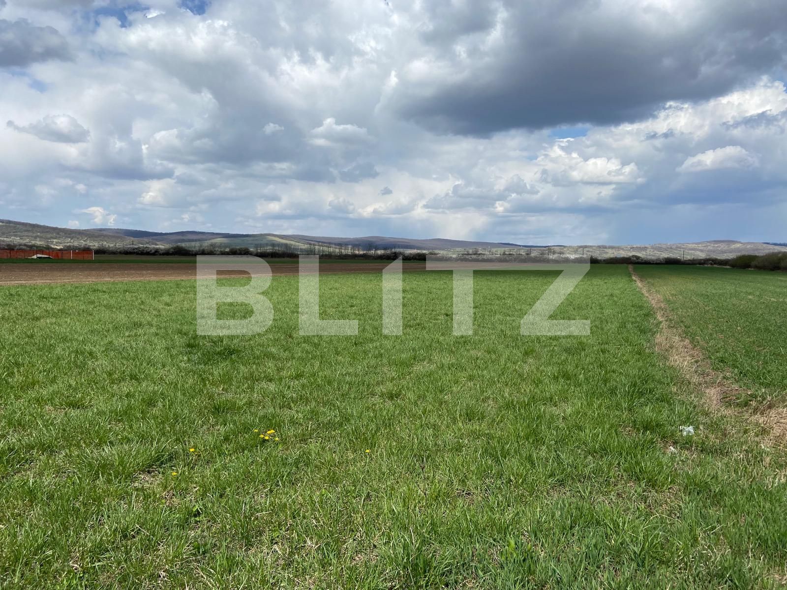 Teren de vânzare Osorhei - 84637TV | BLITZ Oradea | Poza2