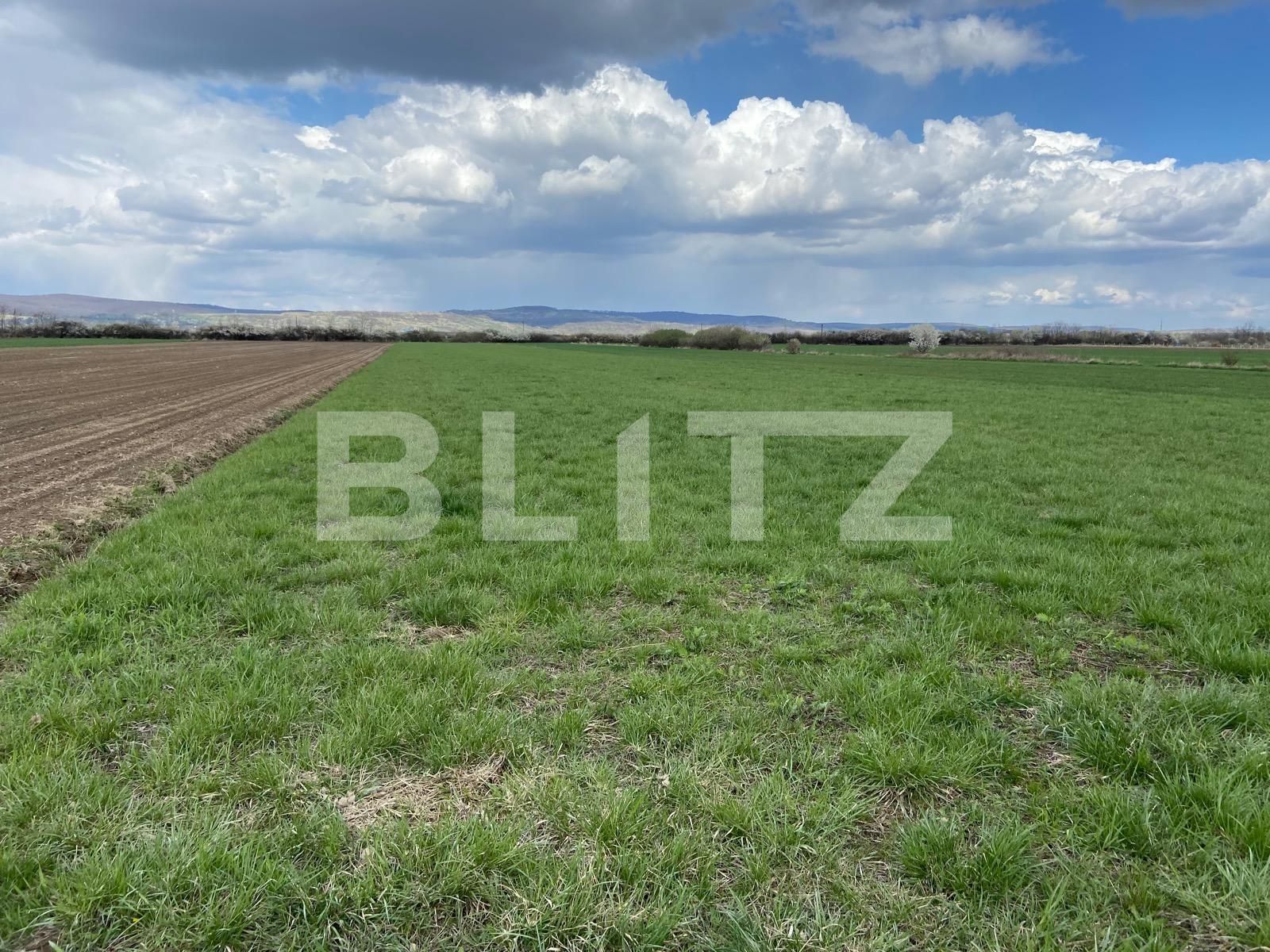 Teren de vânzare Osorhei - 84637TV | BLITZ Oradea | Poza3