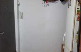 Apartament de 2 camere, decomandat, 50mp, etaj intermediar, zona Nufărul