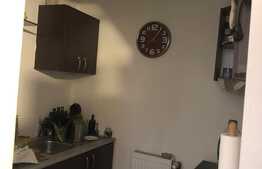 Apartament ultracentral 95mp , semidecomandat, zona 0