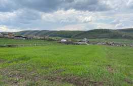 Teren arabil, intravilan, 2877mp, Betfia