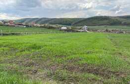 Teren arabil, intravilan, 2877mp, Betfia