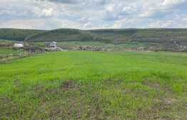Teren arabil, intravilan, 2877mp, Betfia
