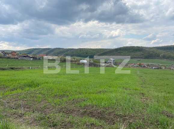 Teren de vânzare Exterior Sud - 85207TV | BLITZ Oradea | Poza1