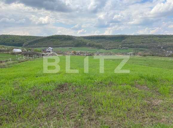 Teren de vânzare Exterior Sud - 85207TV | BLITZ Oradea | Poza2