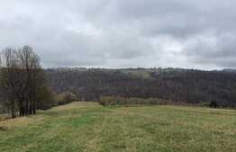 Casă cu panorama, 4.6 hectare, în Șinteu