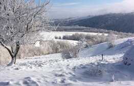 Casă cu panorama, 4.6 hectare, în Șinteu