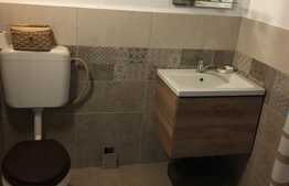 Casă cu panorama, 4.6 hectare, în Șinteu