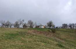 Casă cu panorama, 4.6 hectare, în Șinteu