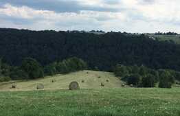 Casă cu panorama, 4.6 hectare, în Șinteu