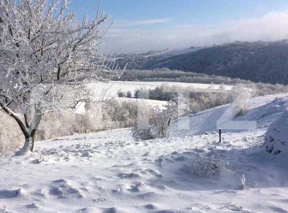 Casa de vânzare 2 camere Exterior Nord - 85216CV | BLITZ Oradea | Poza7