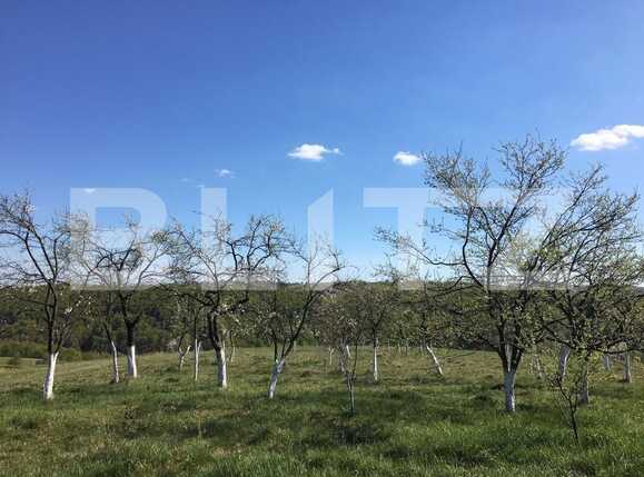 Casa de vânzare 2 camere Exterior Nord - 85216CV | BLITZ Oradea | Poza6