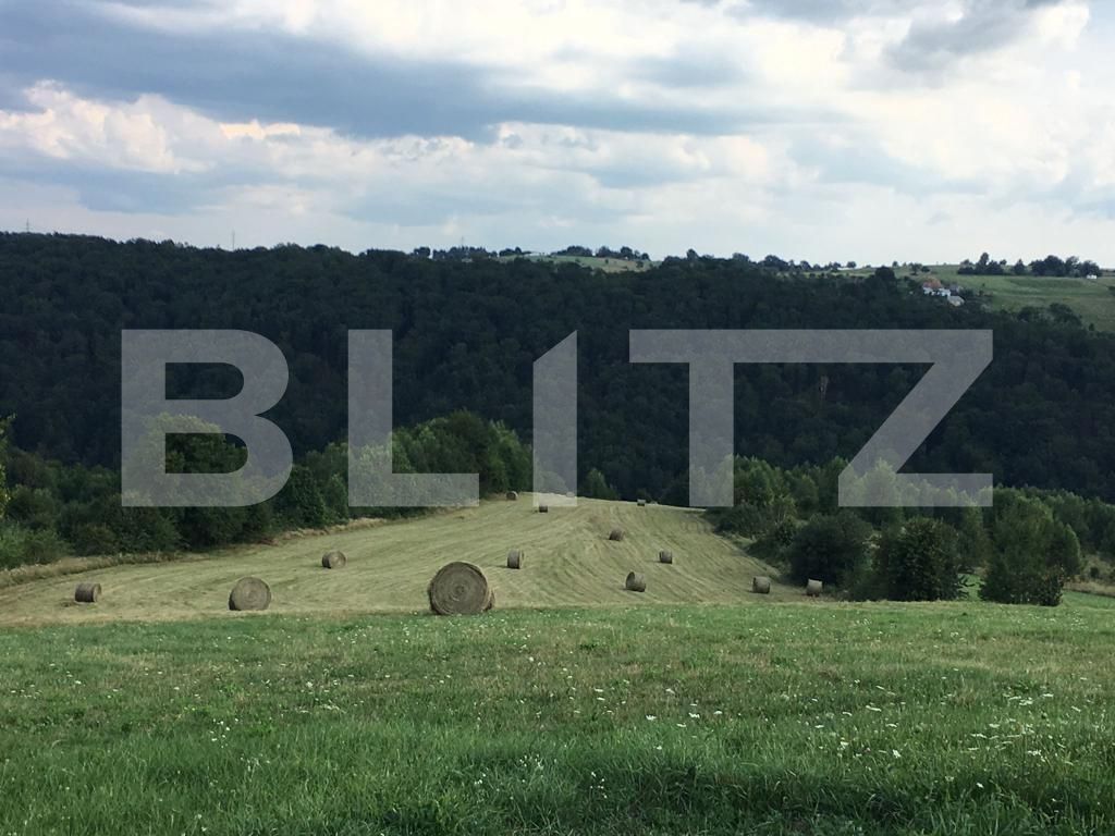 Casa de vânzare 2 camere Exterior Nord - 85216CV | BLITZ Oradea | Poza4