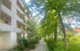 Apartament 2 camere, decomandat, zona Centrala 