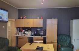 Casă zona Lukoil Seleusului 170 mp utili, 2 corpuri, 2 case singur in curte