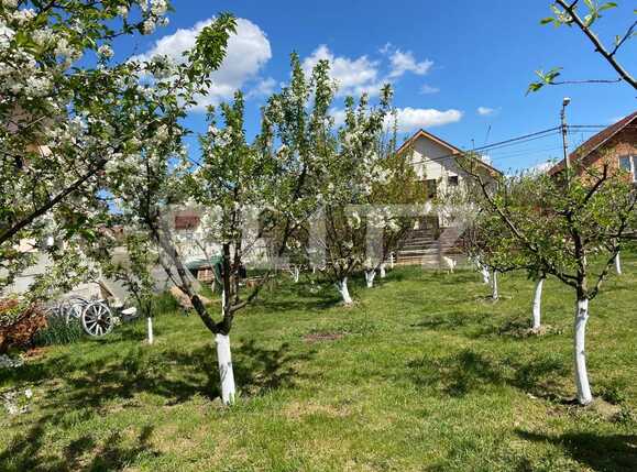 Teren de vânzare Sud - 85251TV | BLITZ Oradea | Poza3