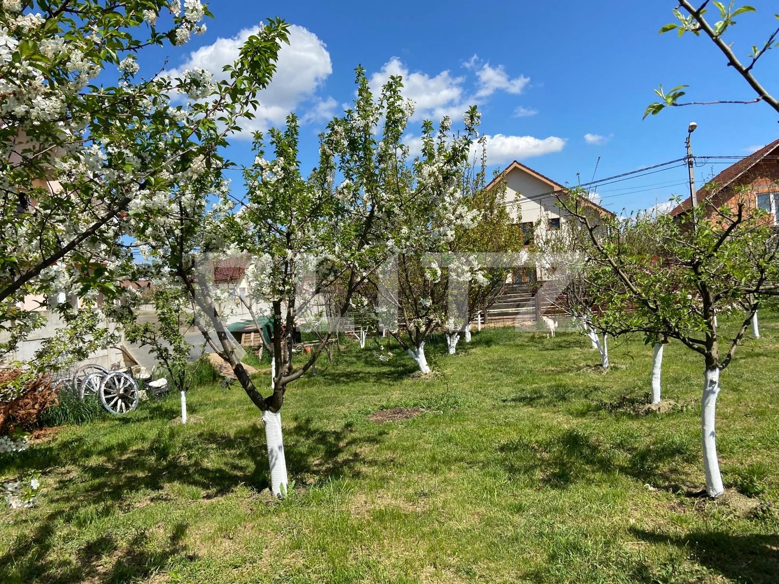 Teren de vânzare Sud - 85251TV | BLITZ Oradea | Poza3
