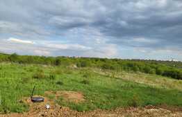 Oportunitate! Teren intravilan de 1200 mp, Paleu