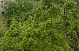 Apartament 2 camere, 39.58 mp, etaj 4, zona Ioșia Nord