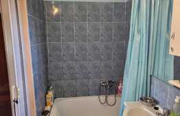 Oportunitate! Casa individuala, 60 mp, teren de 300 mp, Tileagd