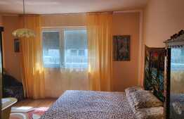 Oportunitate! Casa individuala, 60 mp, teren de 300 mp, Tileagd