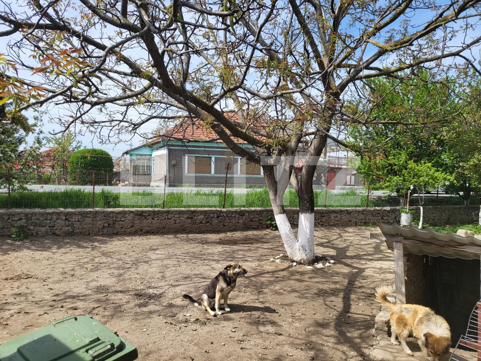 Casa de vânzare 2 camere Est - 85536CV | BLITZ Oradea | Poza3