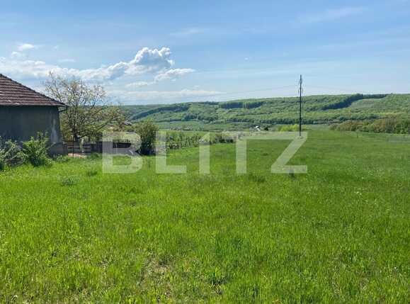 Teren de vânzare Betfia - 85557TV | BLITZ Oradea | Poza4