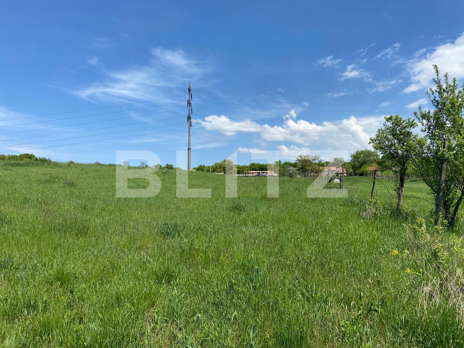 Teren de vânzare Betfia - 85557TV | BLITZ Oradea | Poza5