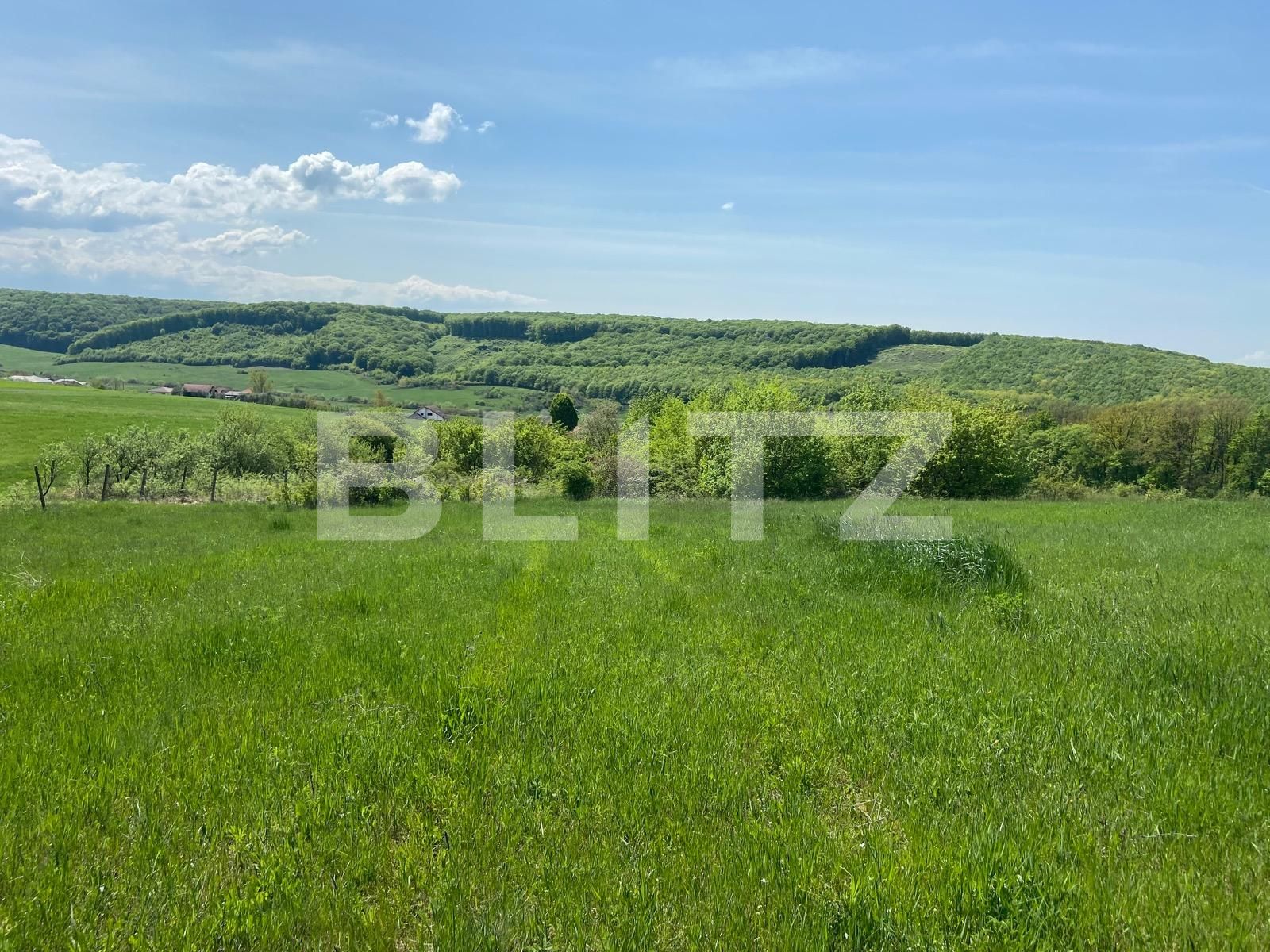 Teren de vânzare Betfia - 85557TV | BLITZ Oradea | Poza6