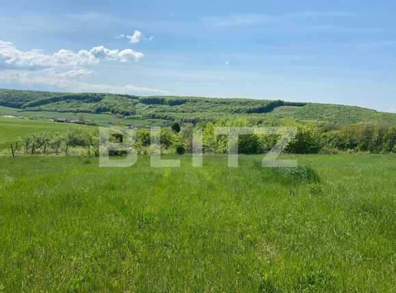 Teren de vânzare Exterior Sud - 85560TV | BLITZ Oradea | Poza1