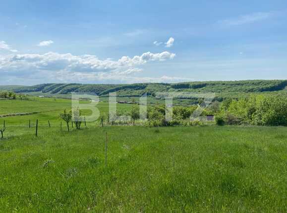 Teren de vânzare Exterior Sud - 85560TV | BLITZ Oradea | Poza4