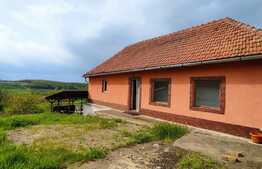 Casa 55 mp utili, 7800 mp teren, Tasad