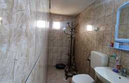 Casa 55 mp utili, 7800 mp teren, Tasad