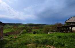 Casa 55 mp utili, 7800 mp teren, Tasad