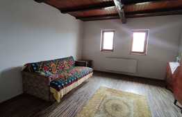 Casa 55 mp utili, 7800 mp teren, Tasad