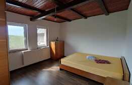 Casa 55 mp utili, 7800 mp teren, Tasad