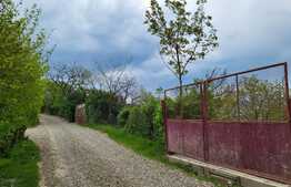 Teren intravilan, 2400 mp cu front de 30 ml, Piatra Craiului