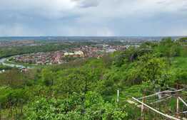 Teren intravilan, 2400 mp cu front de 30 ml, Piatra Craiului