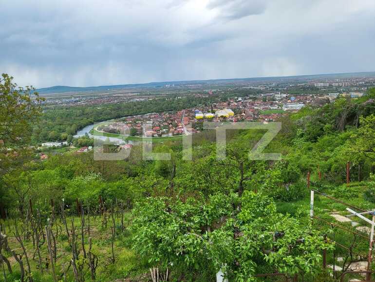 Teren de vânzare Dealuri Oradea - 85672TV | BLITZ Oradea | Poza8
