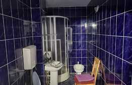 Oportunitate Apartament spatios 86 mp, 3 camere, decomandat, Nufărul!