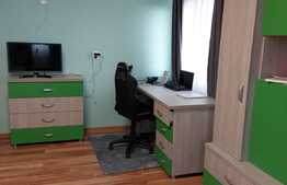 Casa P+E, 157 mp utili, 1144 mp teren, Livada de Bihor