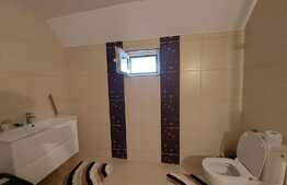 Casa P+E, 157 mp utili, 1144 mp teren, Livada de Bihor