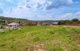 Teren intravilan, 900 mp, Oncea